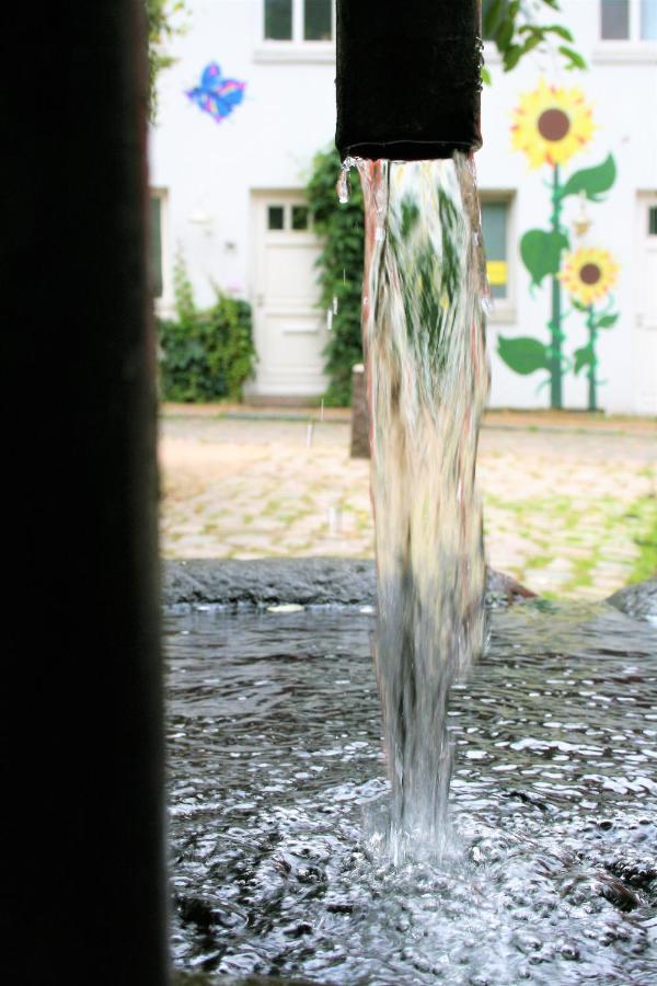 Zentrale Ferienwohnung Anker Im Sonnenblumenhaus Flensburg Eksteriør bilde